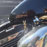 Max Starter Knobs Harley CV Carbu